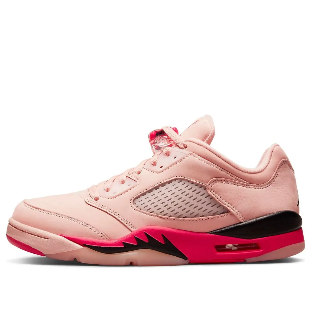 Air Jordan 5 Retro Low