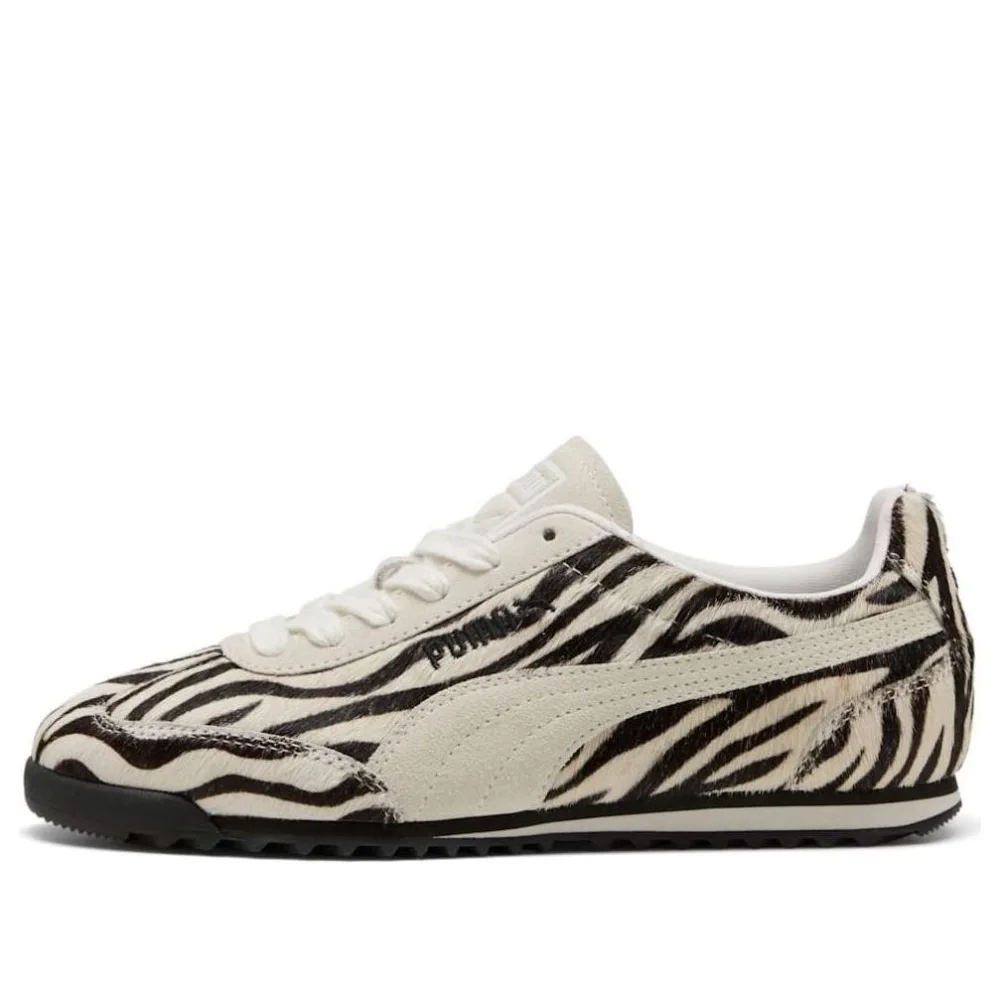 PUMA Arizona