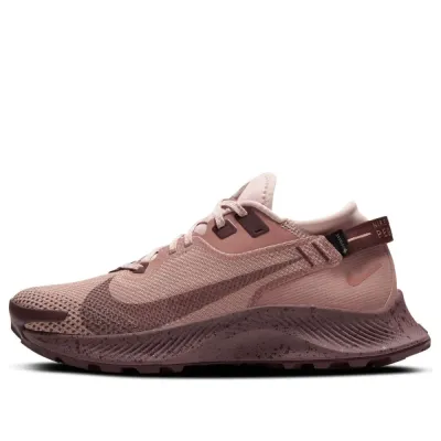 Nike Pegasus Trail 2 GTX — תמונה 1